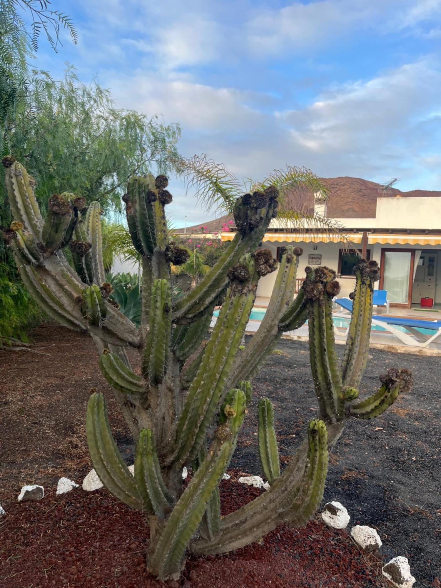 Villa Chloe Playa Blanca (Lanzarote) Exterior foto